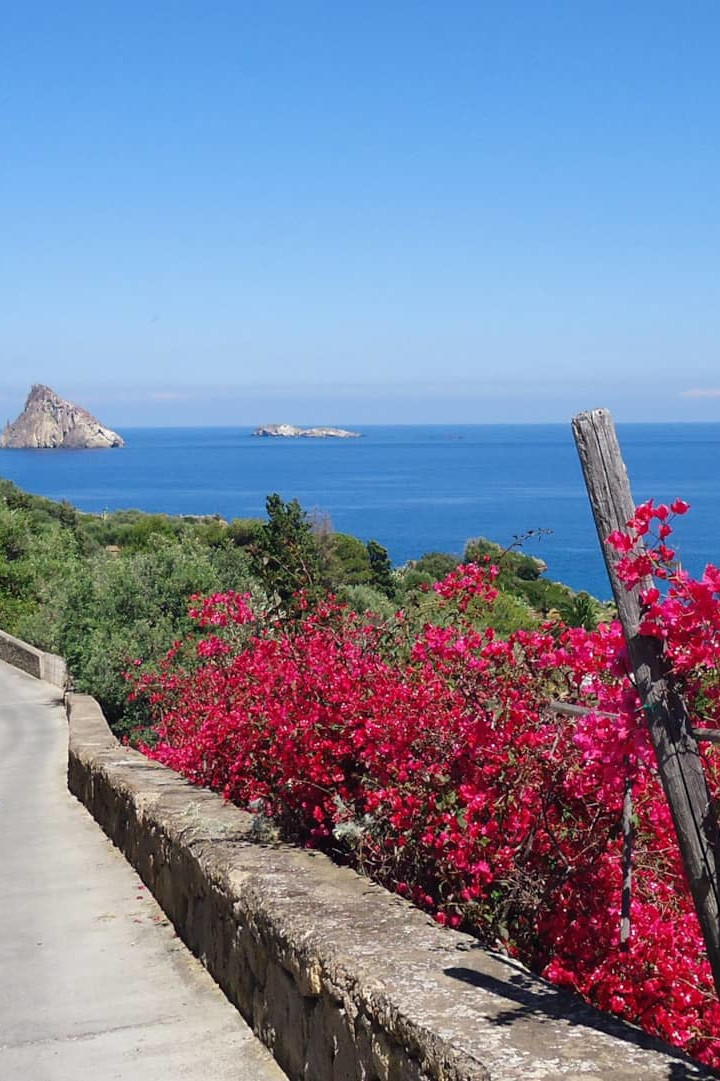 Panarea